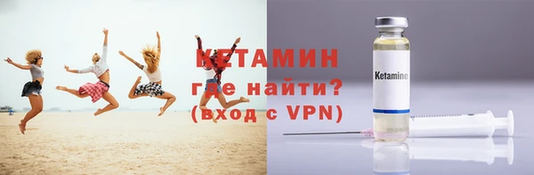 стаф Дубна