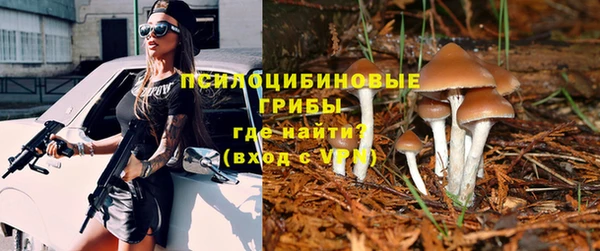 твердый Нязепетровск