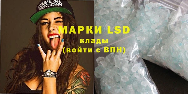 стаф Дубна