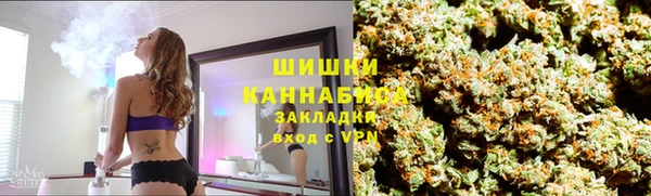 PSILOCYBIN Нягань