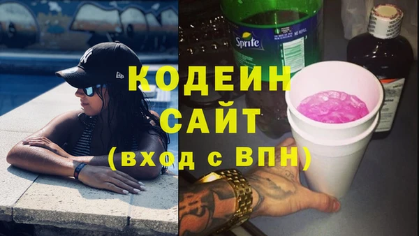 стаф Дубна