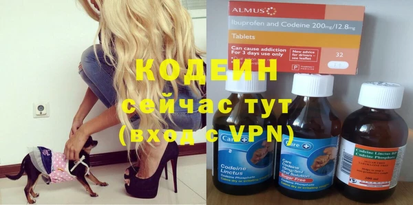 бошки Няндома