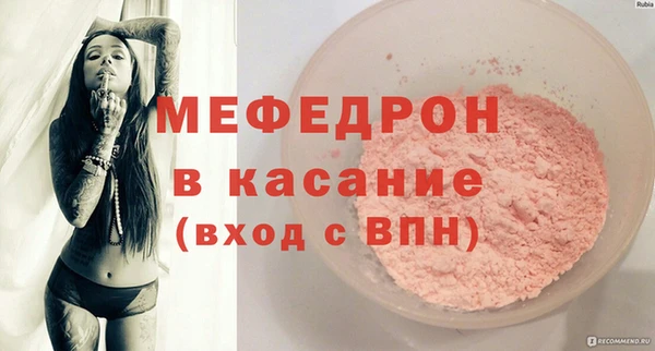 стаф Дубна