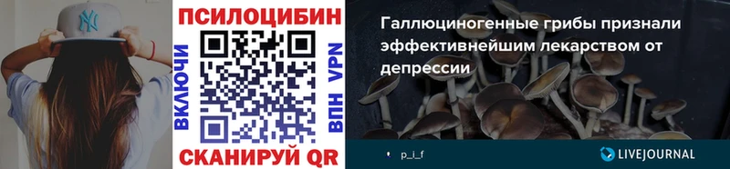 Галлюциногенные грибы Cubensis  Сертолово 