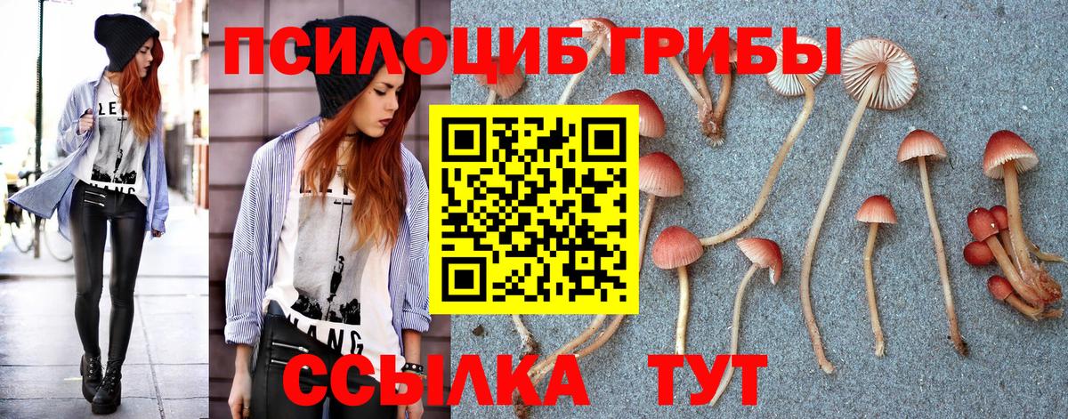 Псилоцибиновые грибы ЛСД  Сертолово 