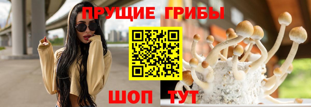 Псилоцибиновые грибы GOLDEN TEACHER Сертолово